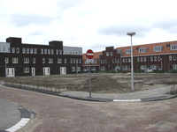 905897 Gezicht op het Bosbesplantsoen met nieuwbouwwoningen, in de wijk Ondiep te Utrecht; het centrale deel moet nog ...